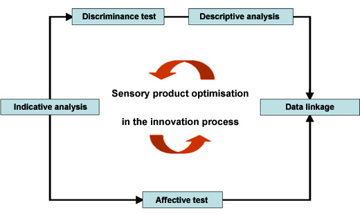 Figure: Sensory product optimisation in the innovation process
