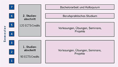  The illustration shows the structure of the Bachelor's degree programme in Special Needs Education - Inclusive Studies. The programme lasts seven semesters. The semesters are arranged on the left in small blue boxes from bottom to top. At the bottom is the first semester and at the top is the seventh semester. There is a first study section from the first to the third semester and a second study section from the fourth to the seventh semester. The first study section is shown in a pink rectangle that is assigned to semesters one to three. The first study section comprises 90 ECTS credits. The grey box on the lower, right-hand side of the illustration states that lectures, tutorials, seminars and projects are held in the first study period. The second study section is the upper, middle pink square next to semesters four to seven. This section has 120 ECTS credits. The three grey boxes on the right-hand side indicate that, in addition to courses in the second study section, the internship takes place and the Bachelor's thesis is written. The Bachelor's thesis and the colloquium conclude the programme.